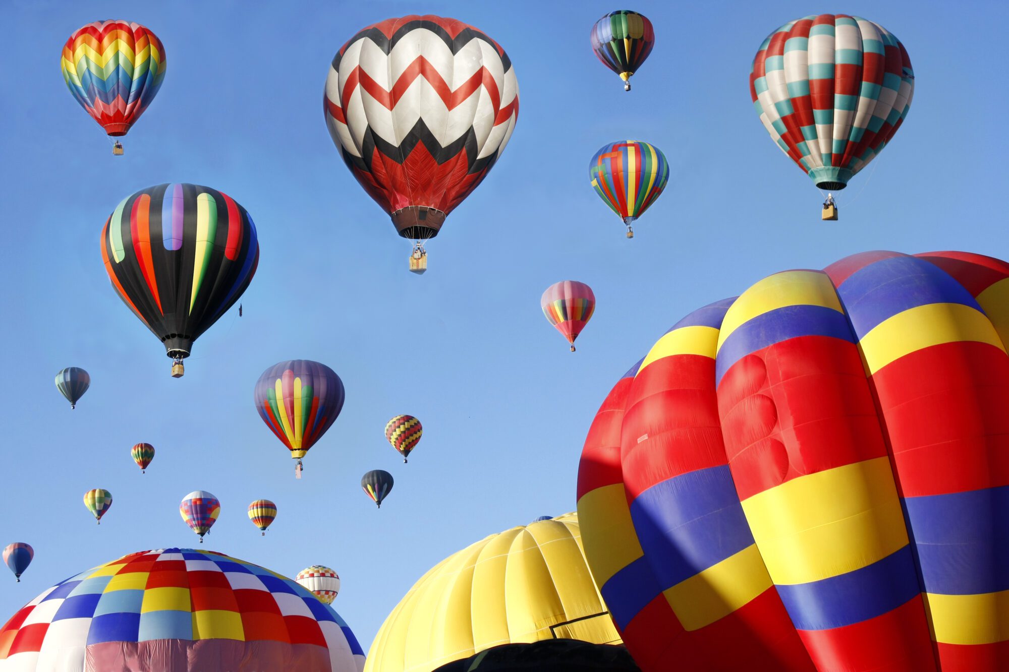 Tutor Doctor tutoring services in Albuquerque