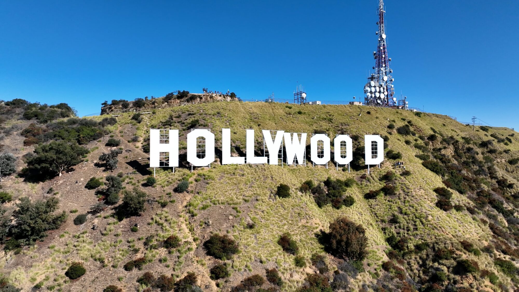 Tutor Doctor tutoring services in Santa Monica