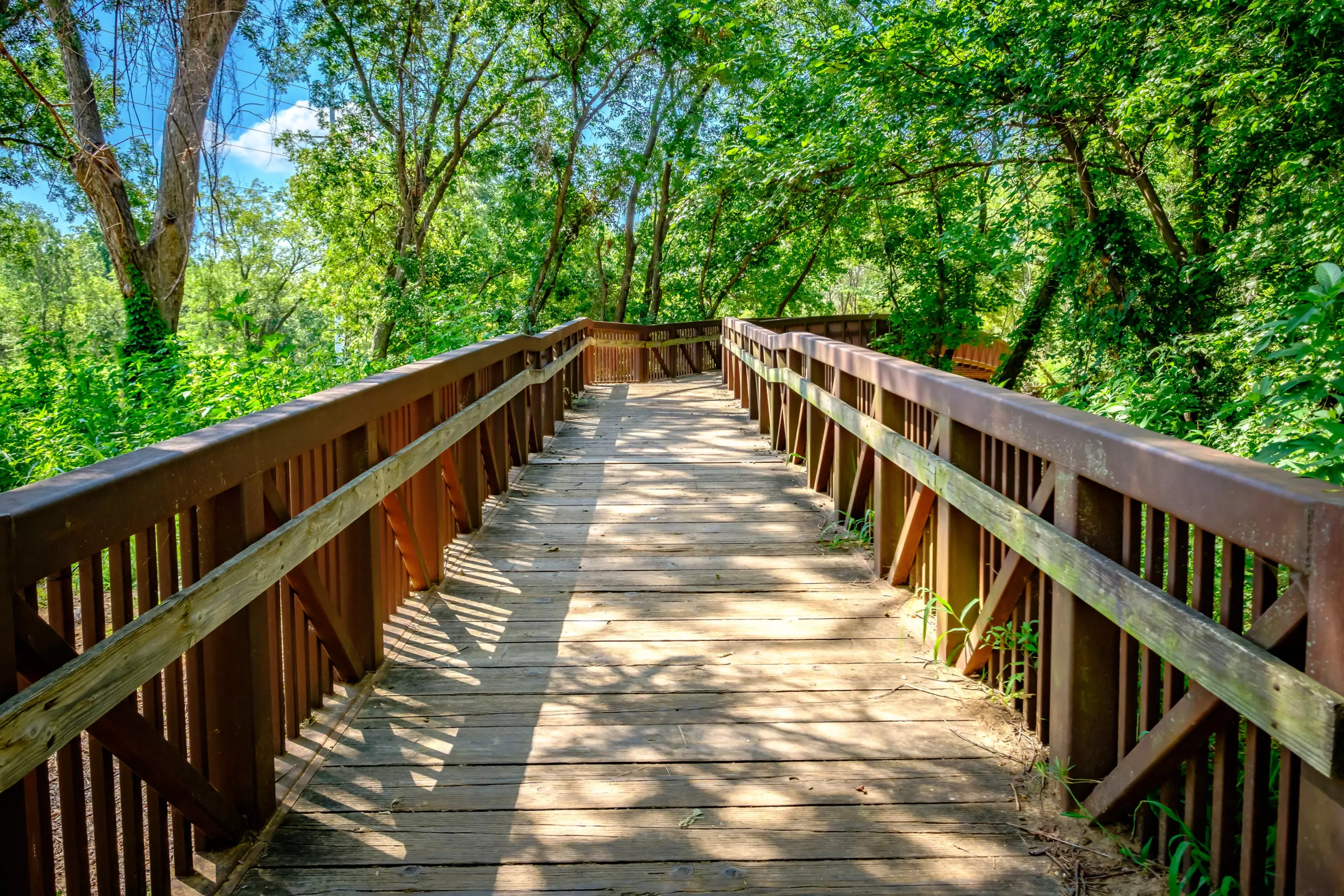 Tutor Doctor tutoring services in Bear Creek, TX