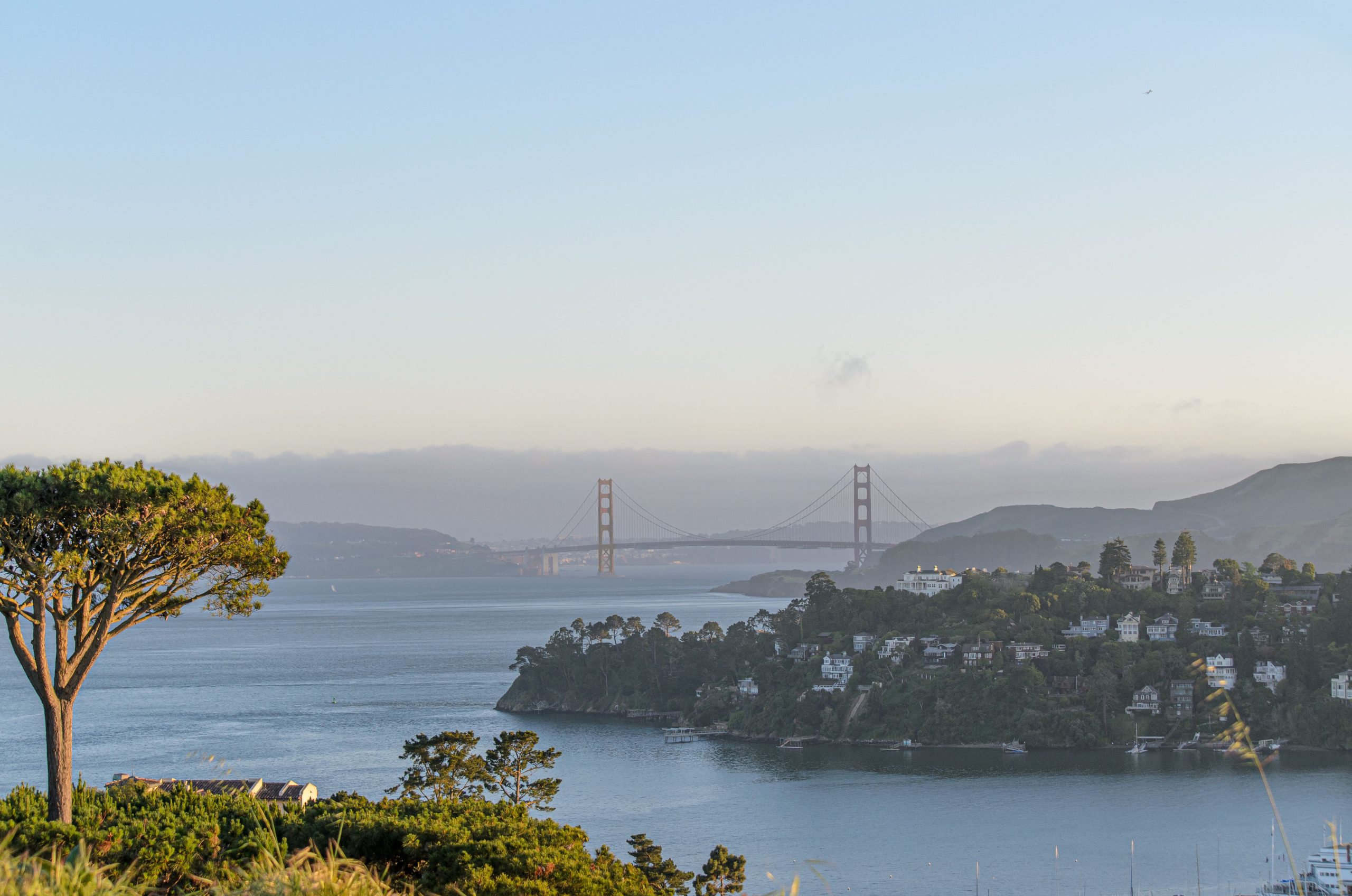 Tutor Doctor tutoring services in Belvedere Tiburon, CA