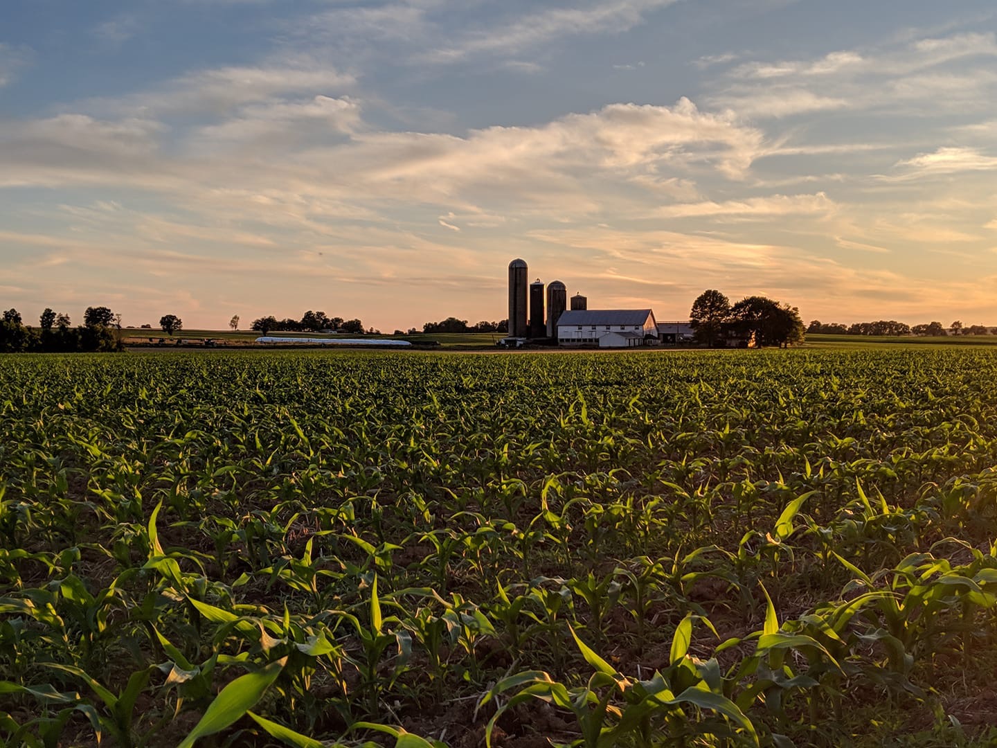 Tutor Doctor tutoring services in Campbelltown, PA