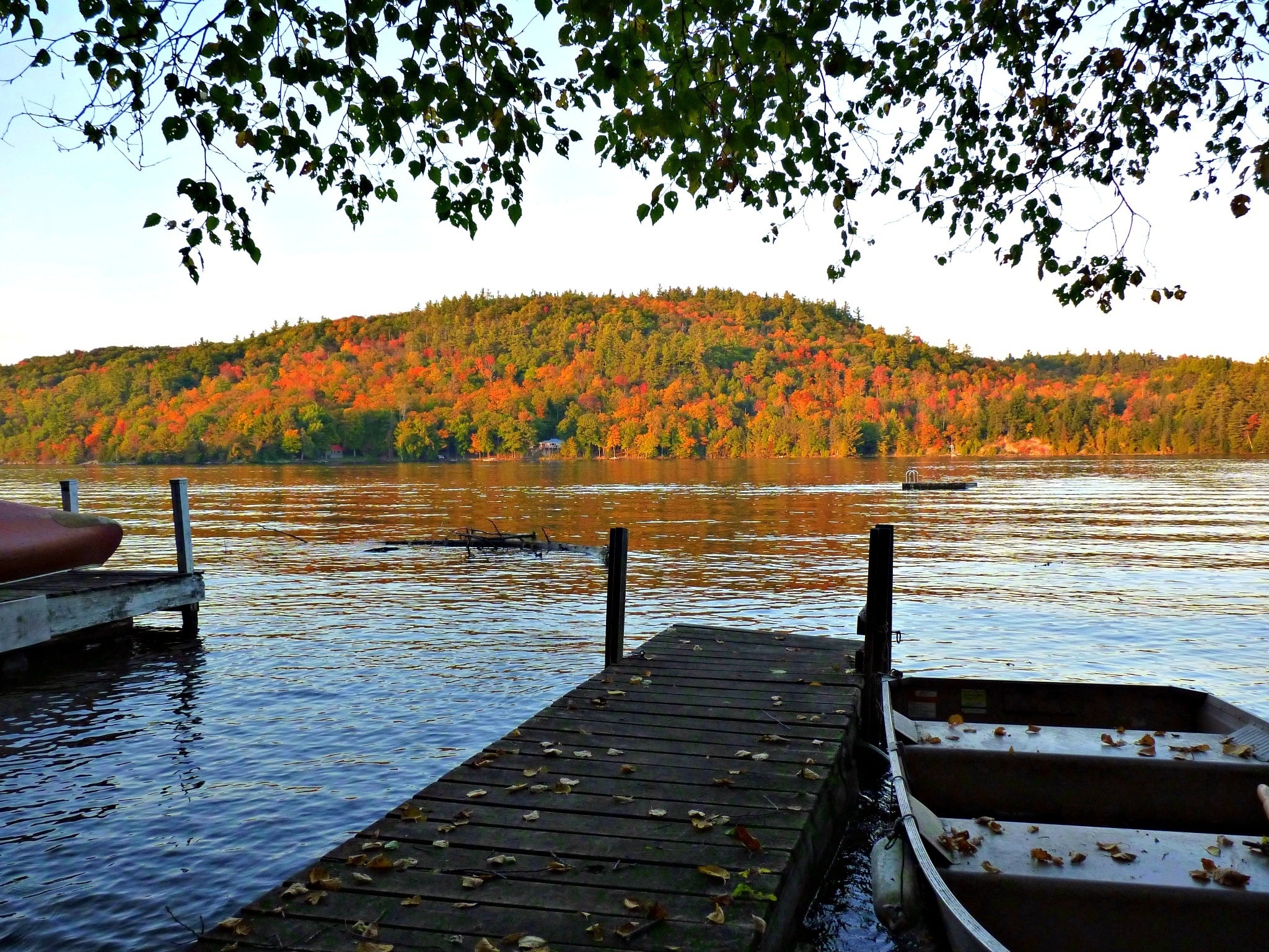 Tutor Doctor tutoring services in Cantley, QC