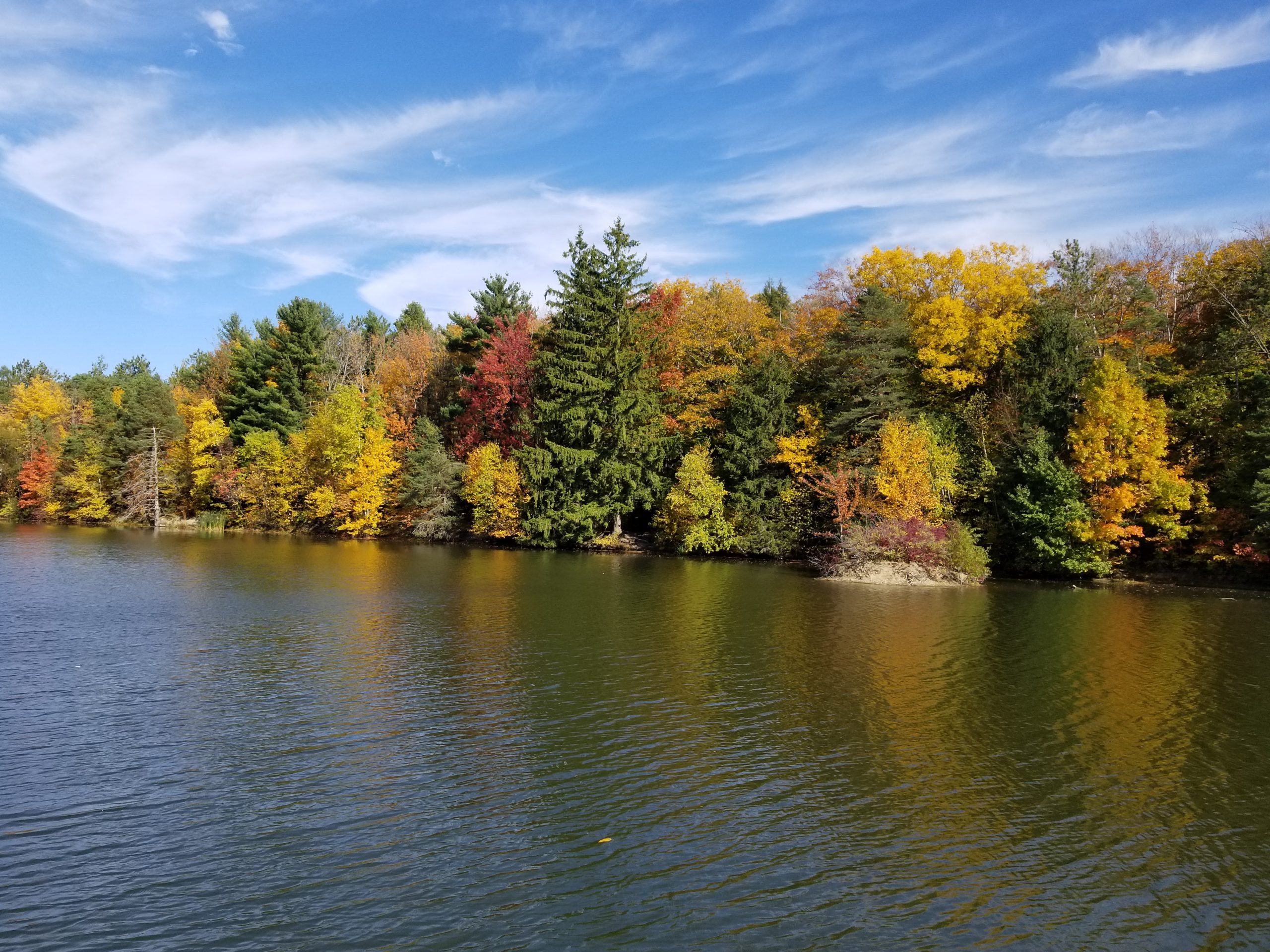 Tutor Doctor tutoring services in Chestnut Ridge, NY