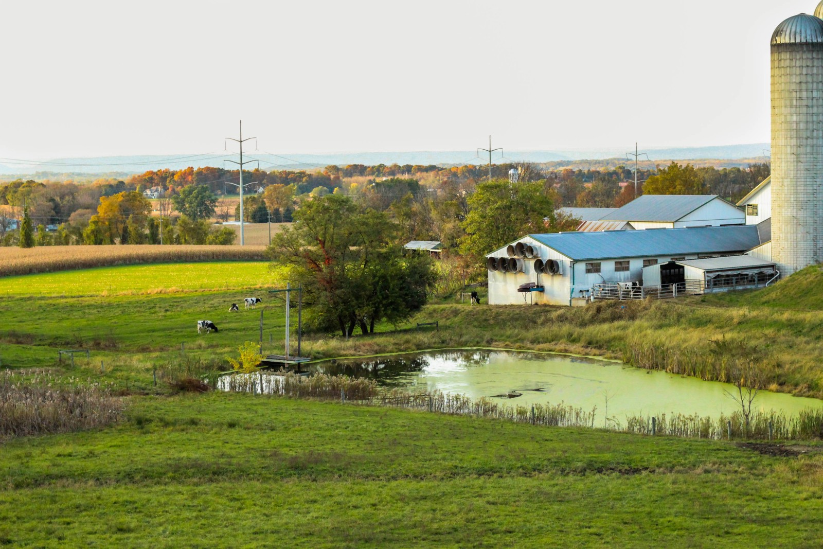 Tutor Doctor tutoring services in Cornwall, PA