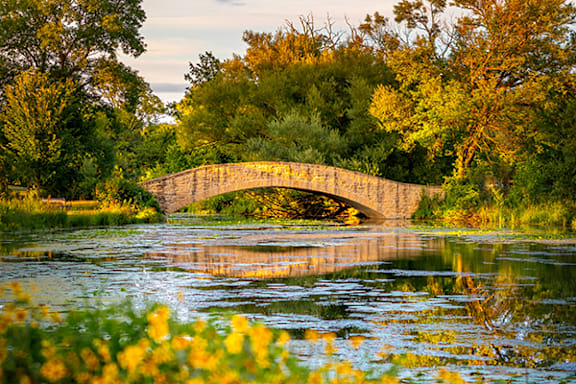 Tutor Doctor tutoring services in Fitchburg, WI