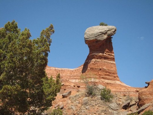 Tutor Doctor tutoring services in Four Corners, TX