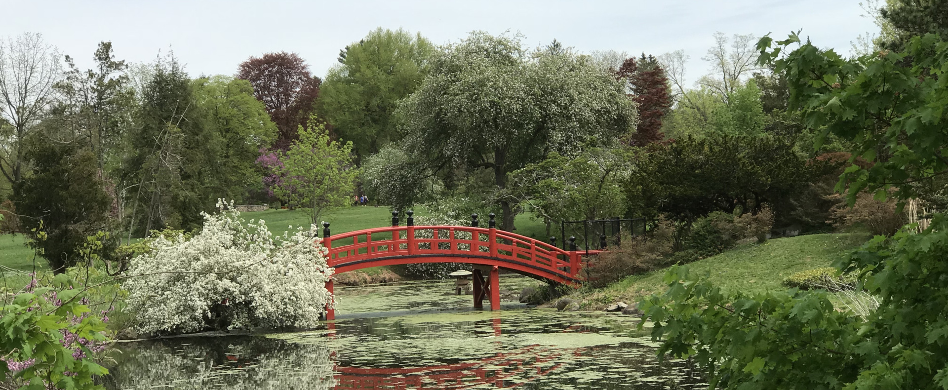 Tutor Doctor tutoring services in Hillsborough Township, NJ