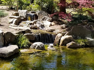 Tutor Doctor tutoring services in Newell, NC