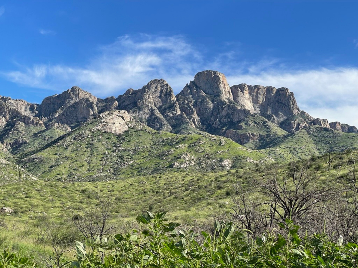 Tutor Doctor tutoring services in Oro Valley, AZ