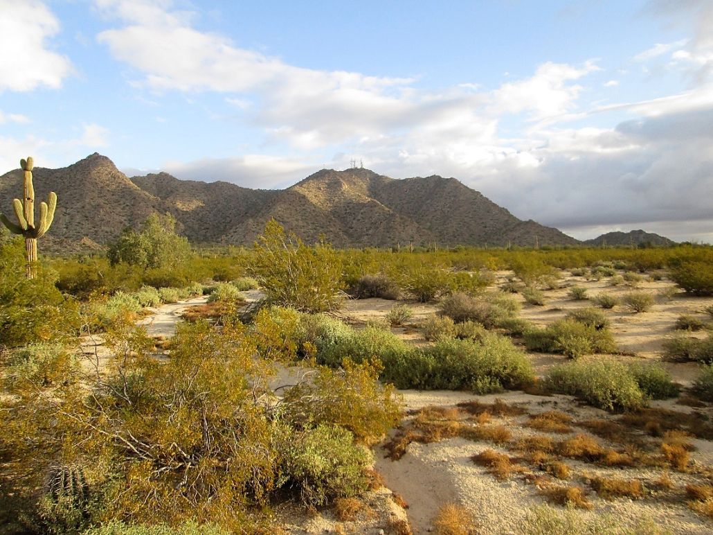 Tutor Doctor tutoring services in Sacaton, AZ