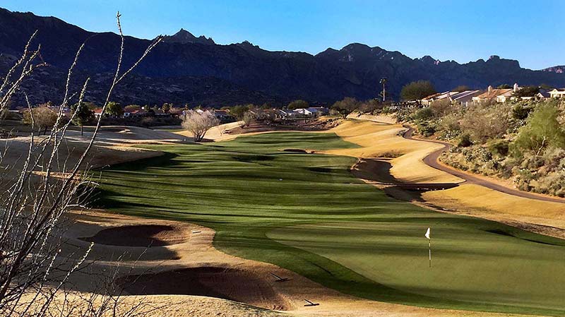 Tutor Doctor tutoring services in Saddlebrooke, AZ