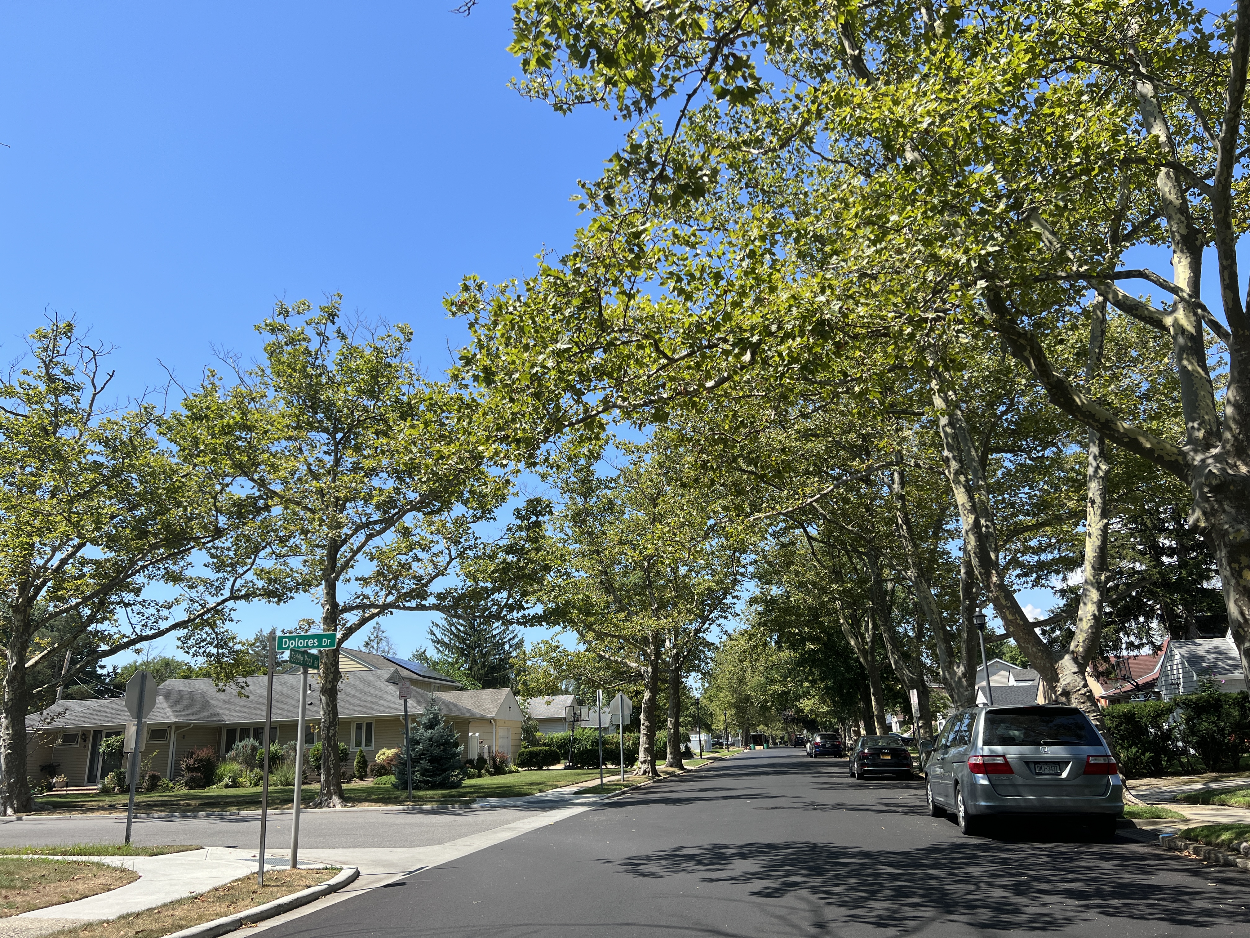 Tutor Doctor tutoring services in South Valley Stream, NY