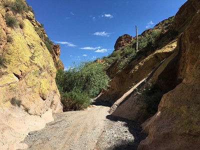 Tutor Doctor tutoring services in Tortolita, AZ