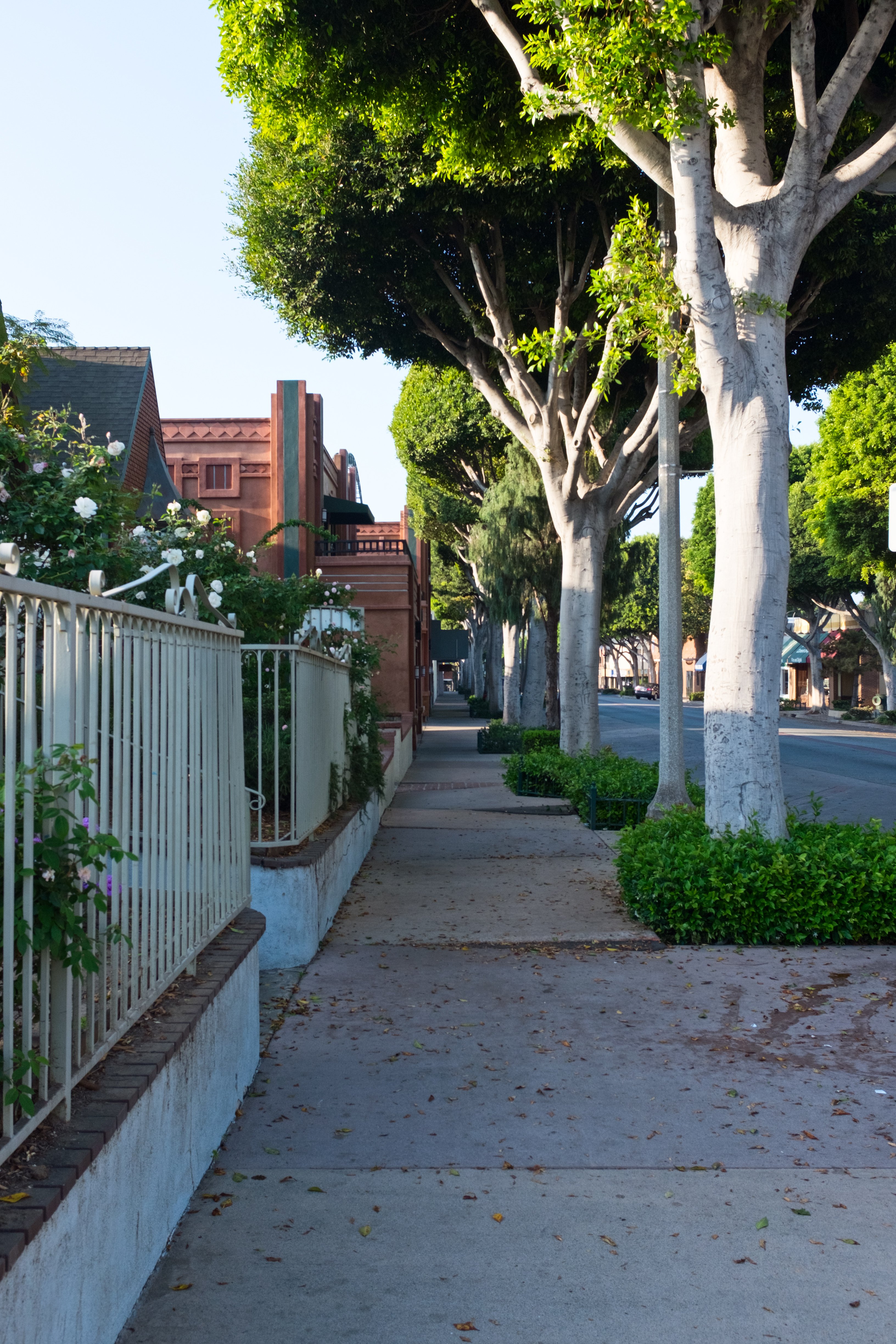 Tutor Doctor tutoring services in East Whittier, CA