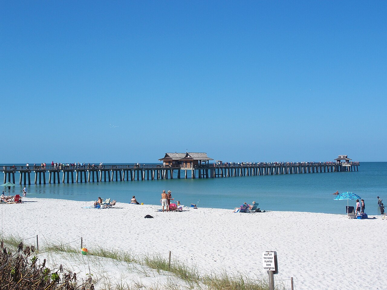 Tutor Doctor tutoring services in Naples, FL