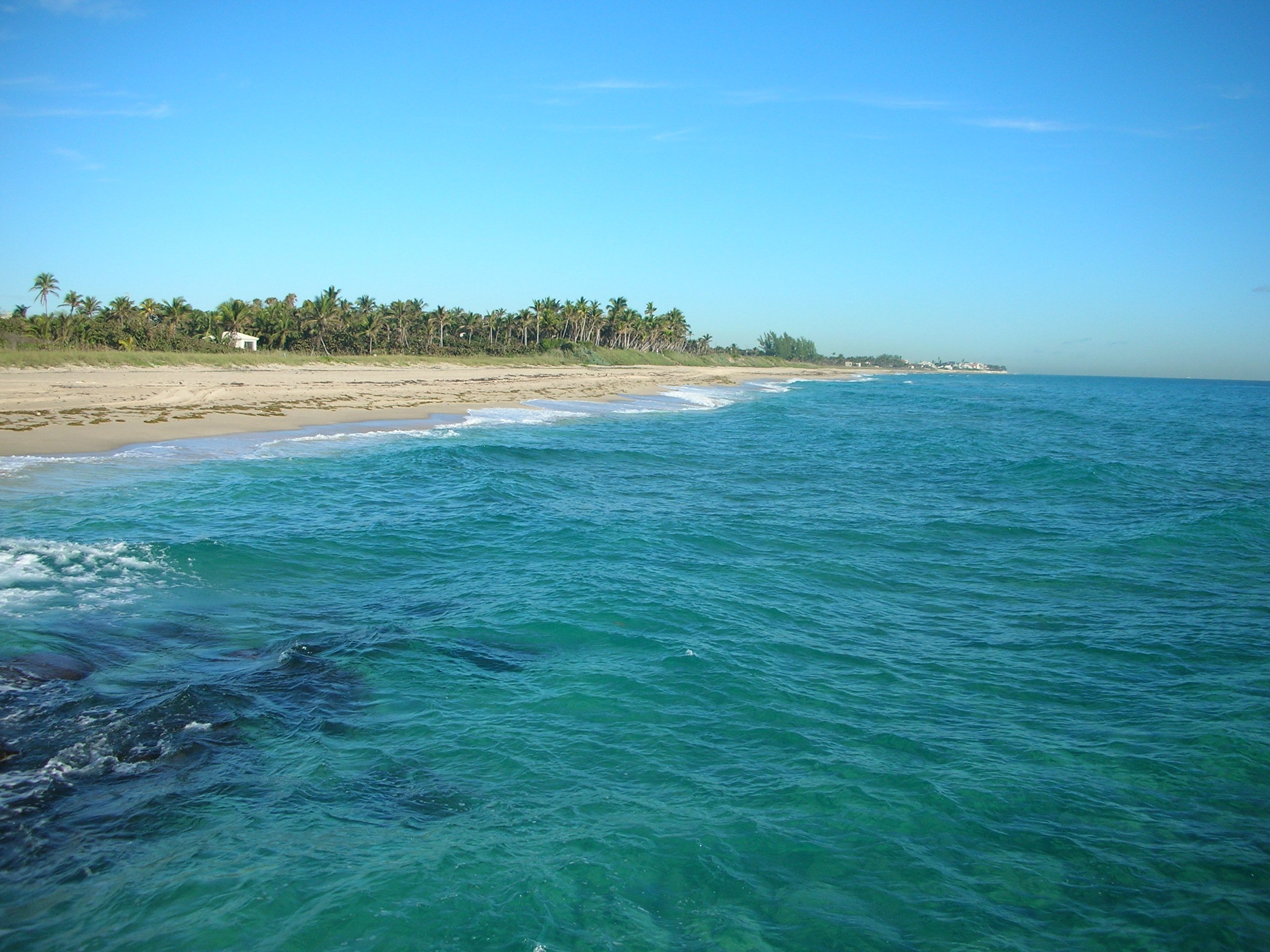 Tutor Doctor tutoring services in Ocean Ridge, FL