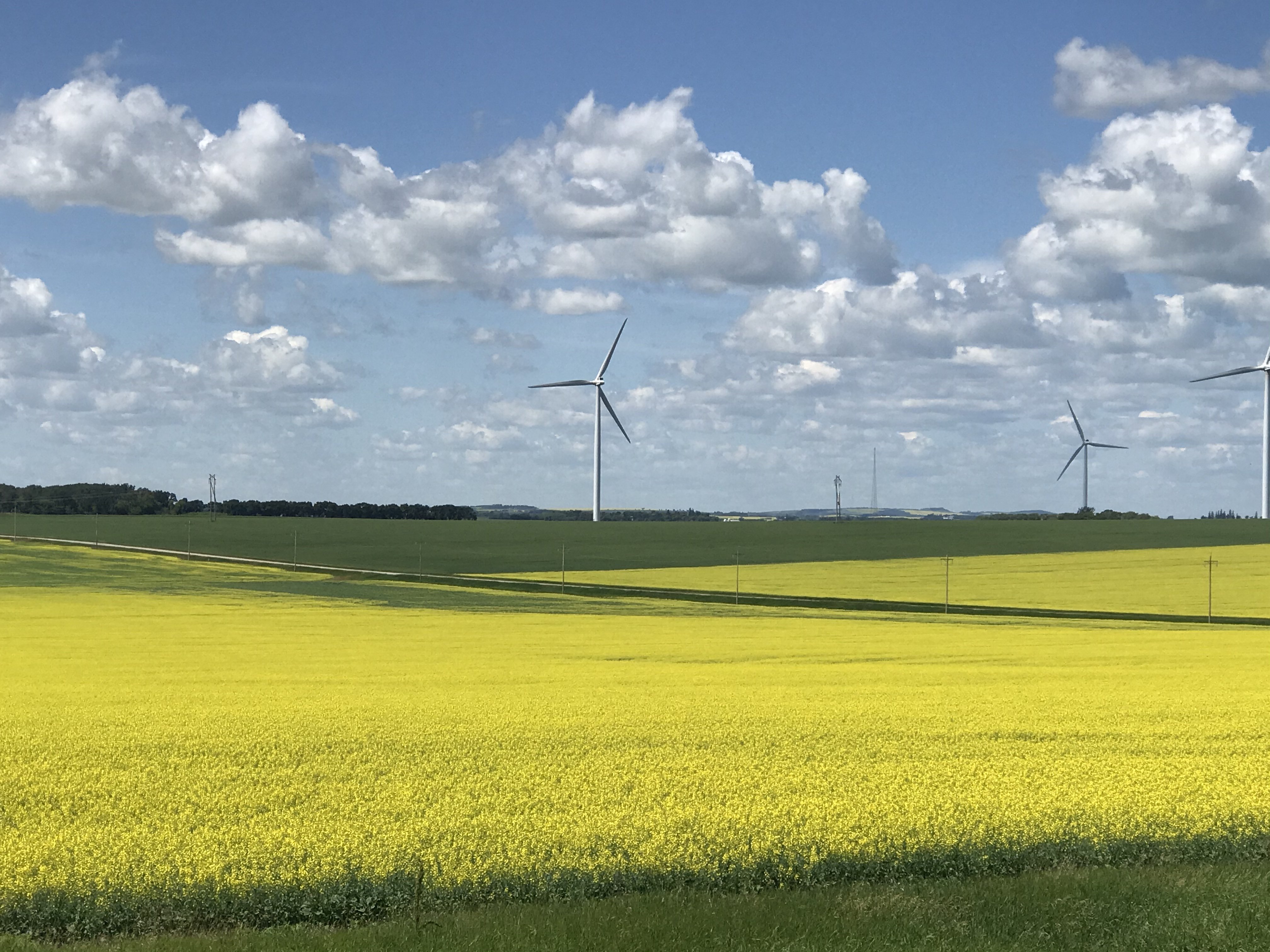 Tutor Doctor tutoring services in Eriksdale, MB