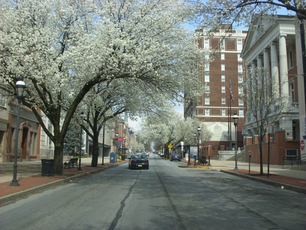 Tutor Doctor tutoring services in Yorklyn, PA