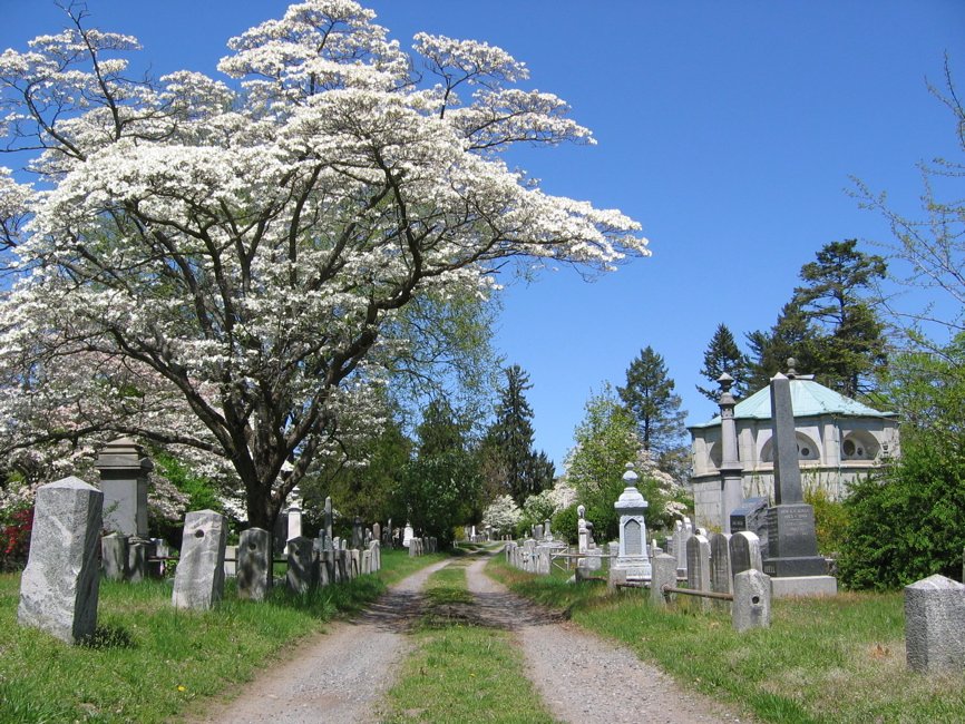 Tutor Doctor tutoring services in Sleepy Hollow, CA