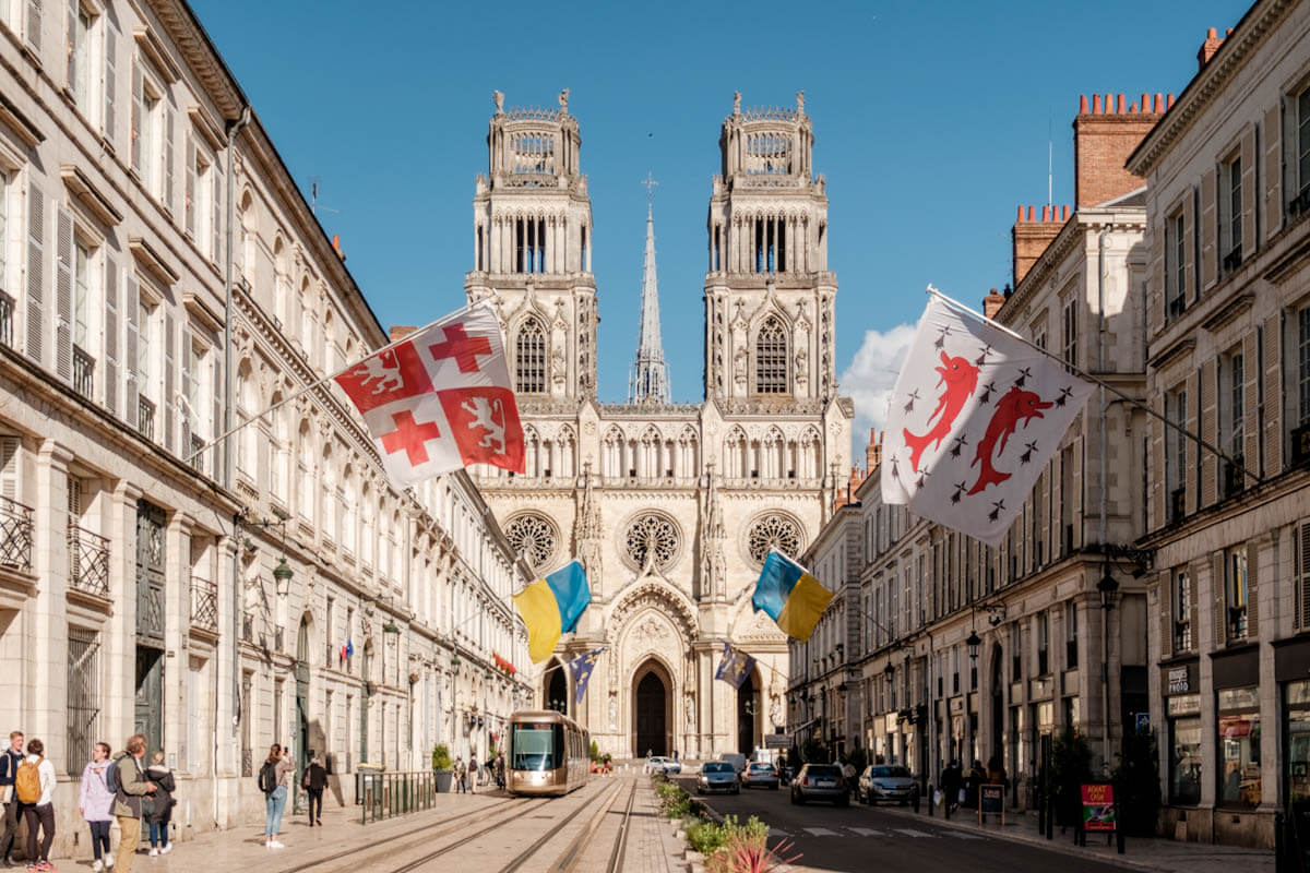 Tutor Doctor tutoring services in Orleans