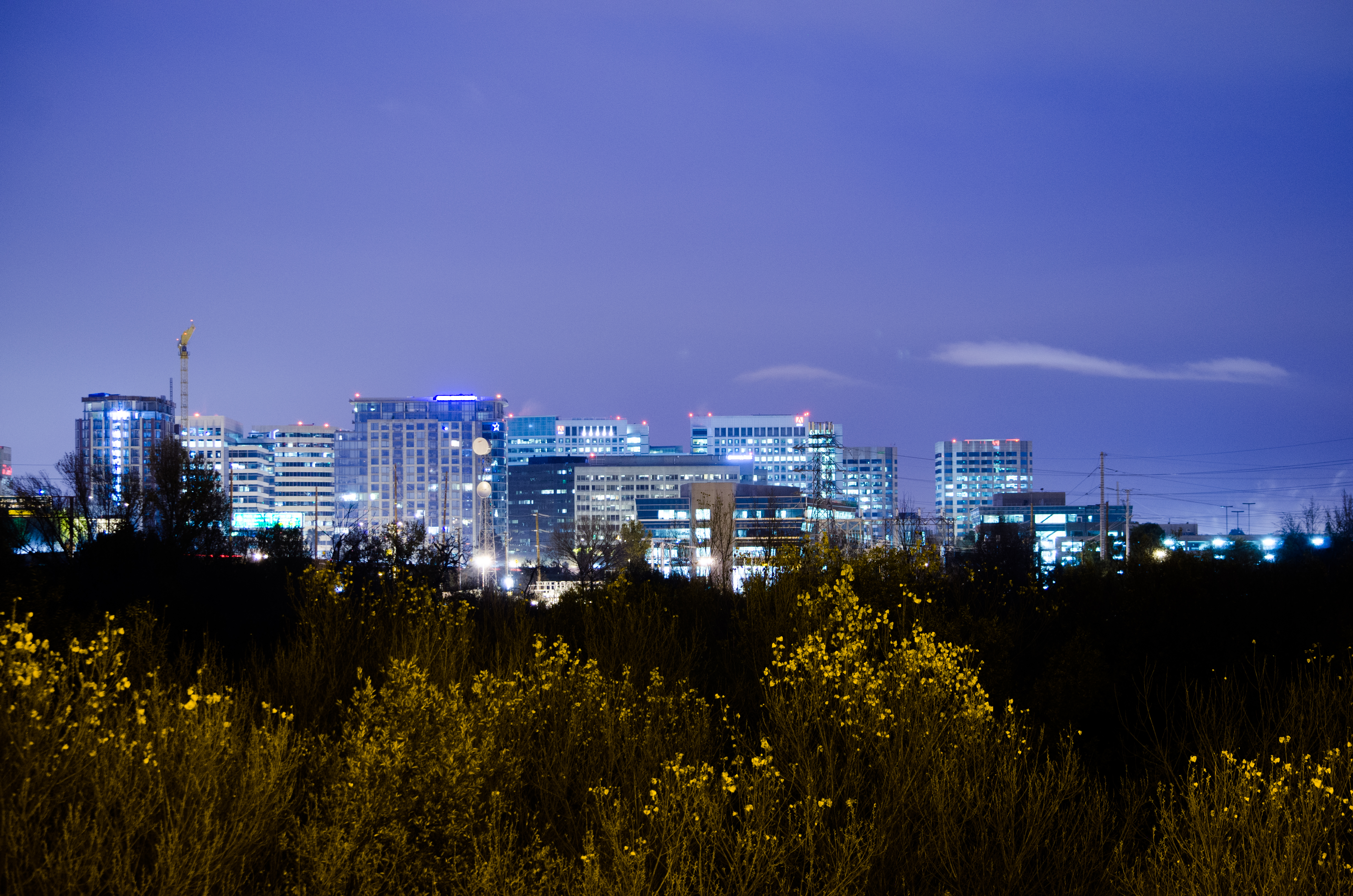 Tutor Doctor tutoring services in San Jose