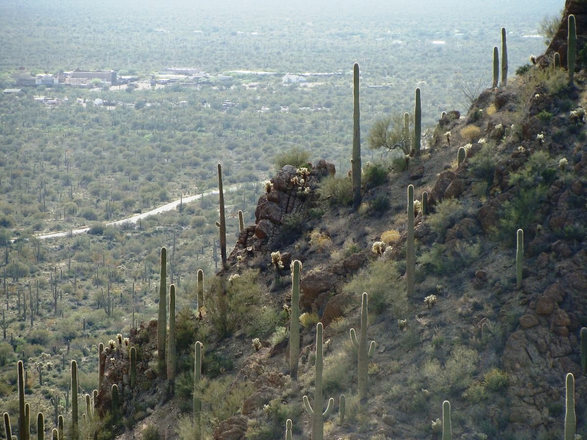 Tutor Doctor tutoring services in Avra Valley, AZ
