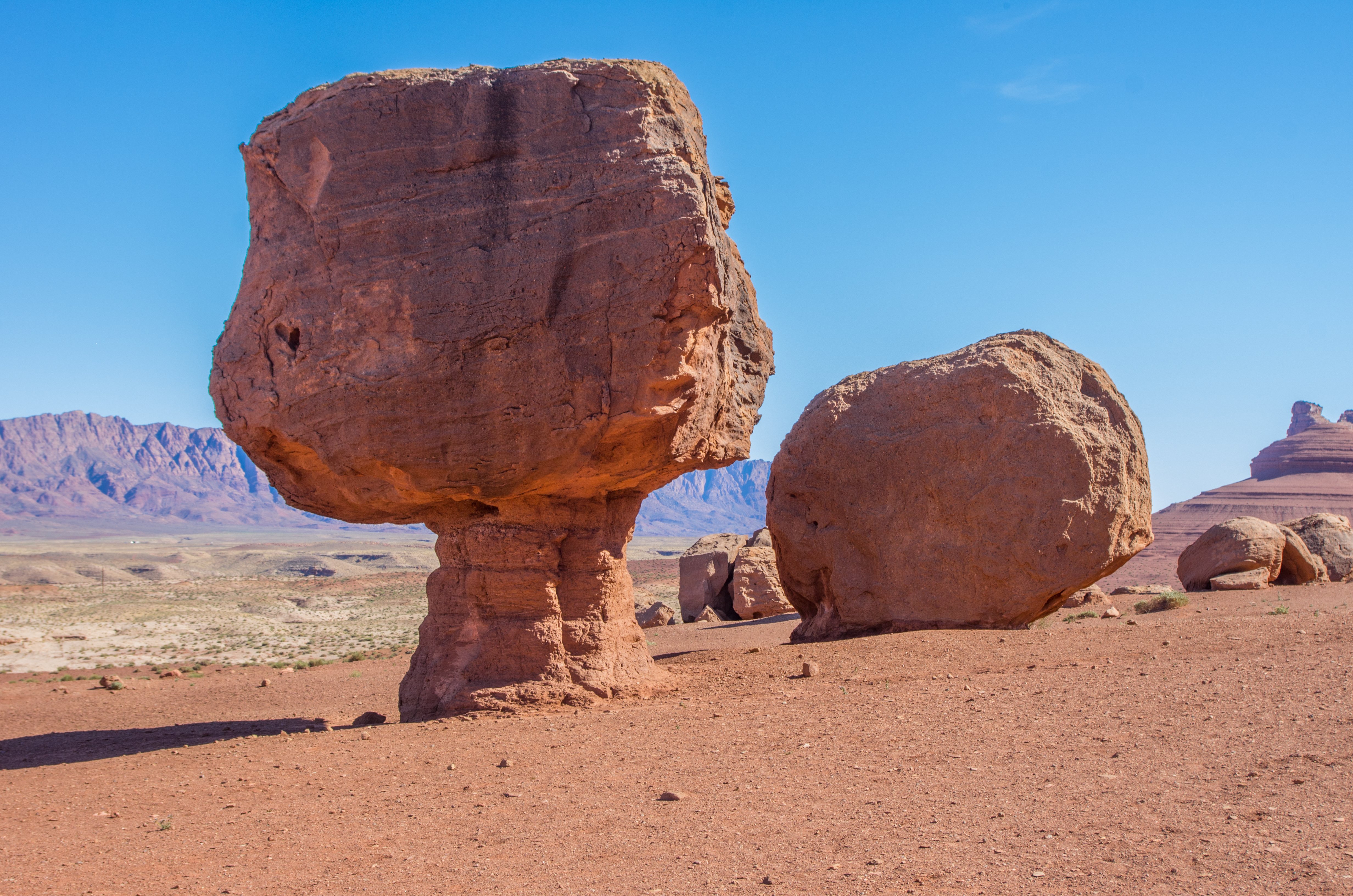 Tutor Doctor tutoring services in Picture Rocks, AZ
