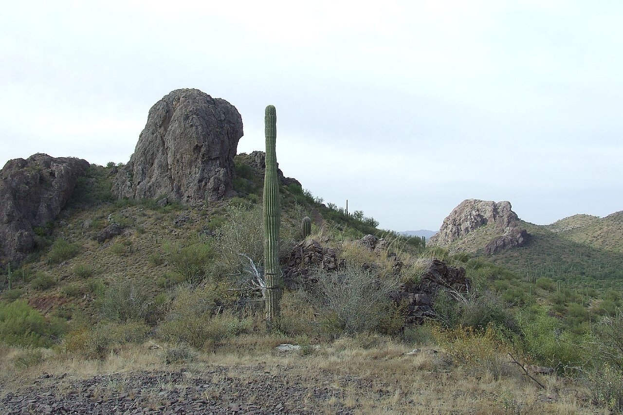 Tutor Doctor tutoring services in Tortolita, AZ