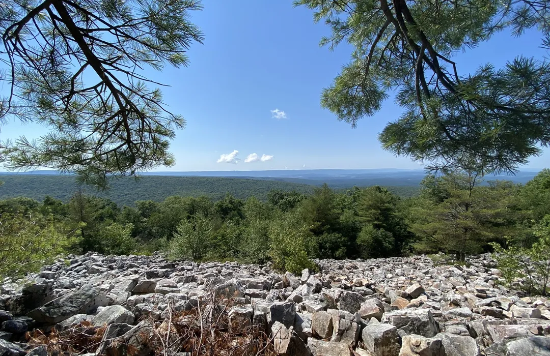 Tutor Doctor tutoring services in Pennsylvania Furnace, PA