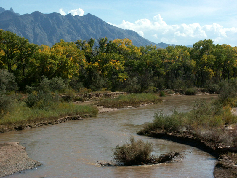 Tutor Doctor tutoring services in Bosque, NM