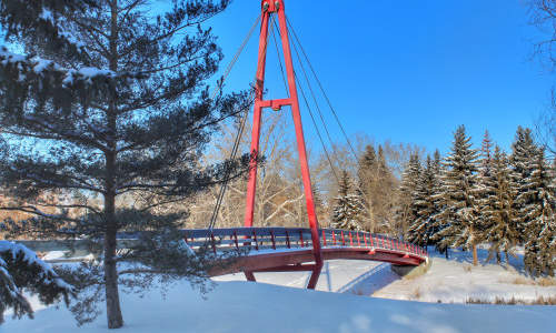 Tutor Doctor tutoring services in Braeside