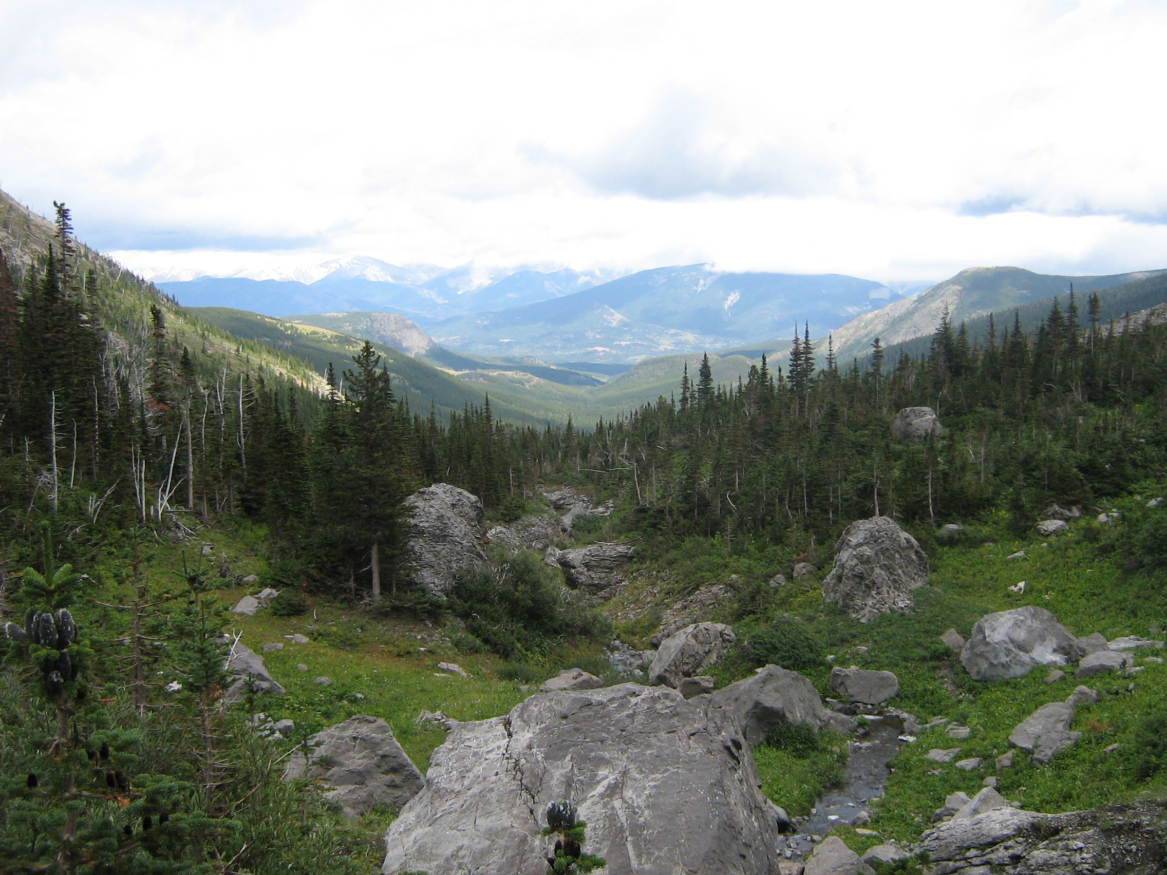 Tutor Doctor tutoring services in Crowsnest Pass, AB