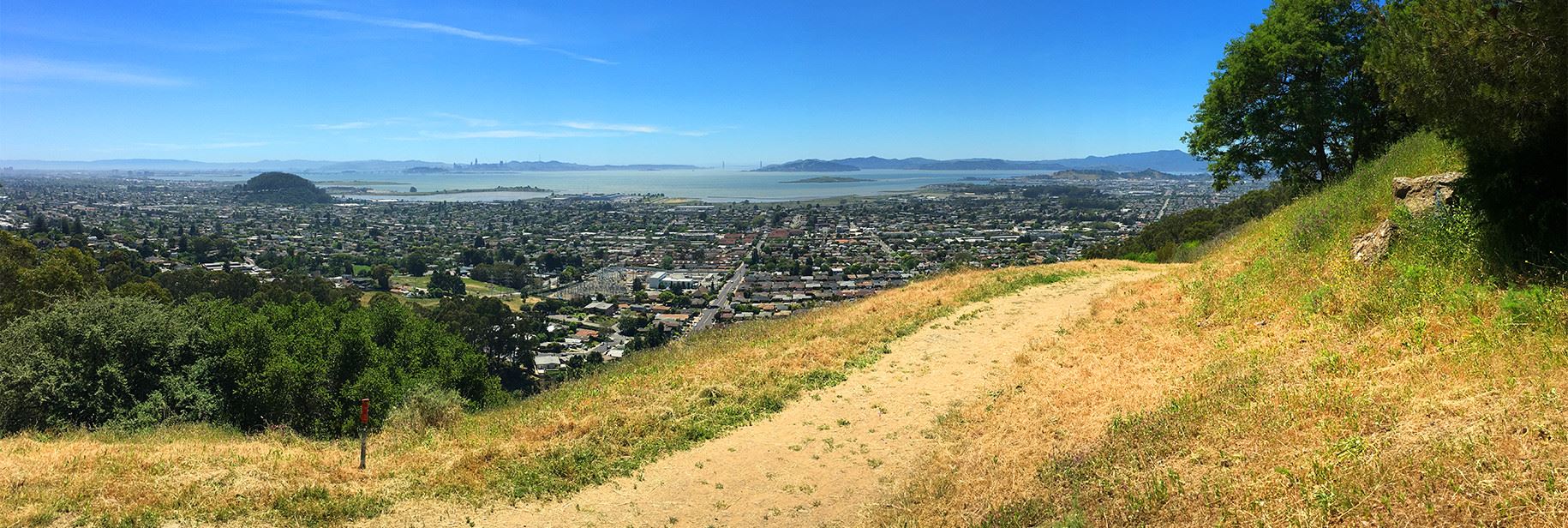 Tutor Doctor tutoring services in El Cerrito, CA