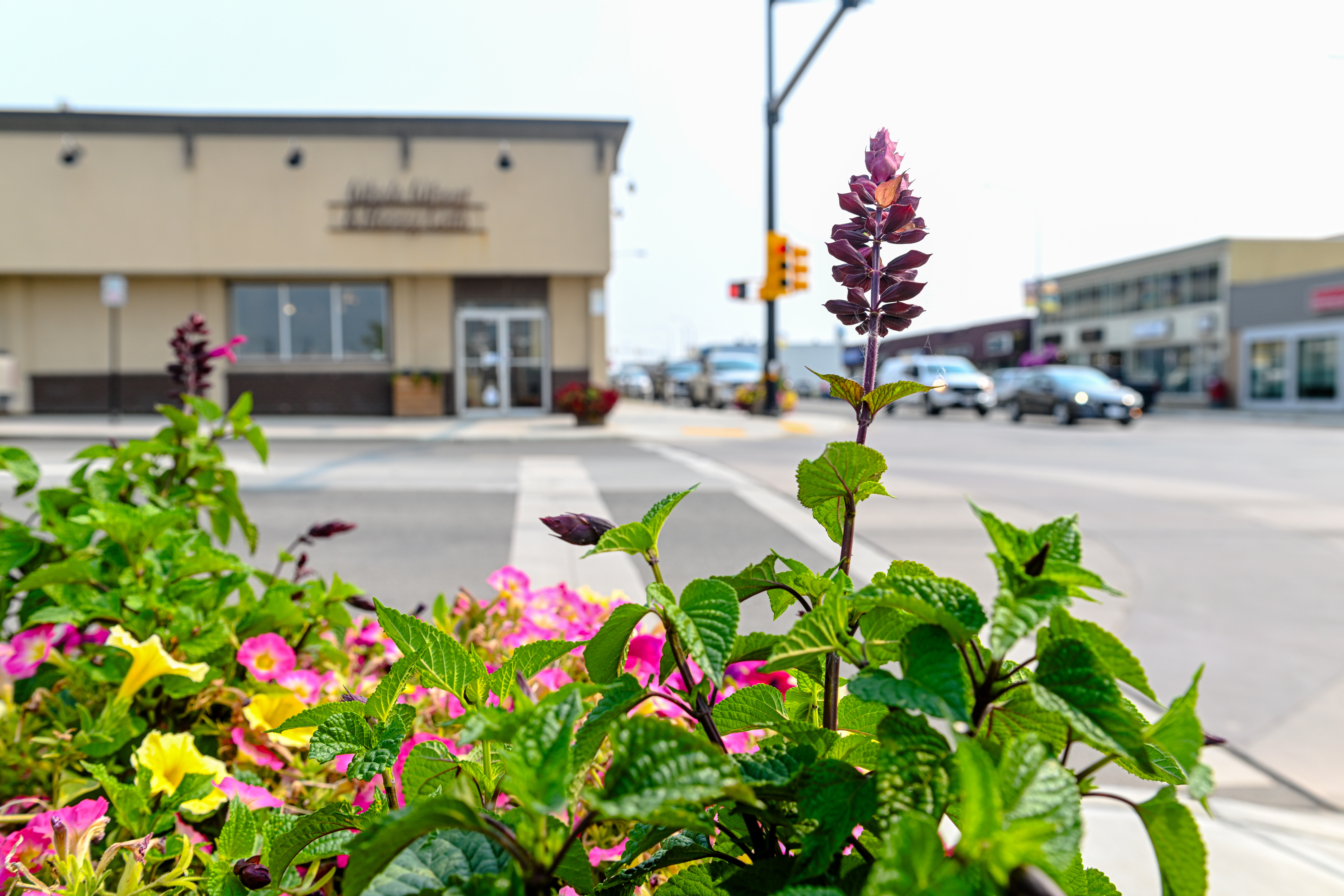 Tutor Doctor tutoring services in Fort St. John, BC