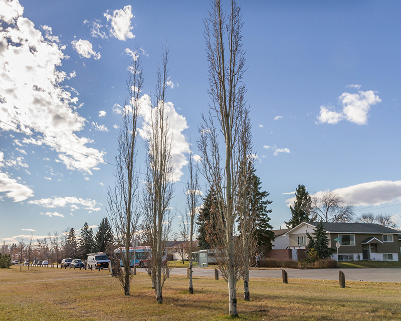 Tutor Doctor tutoring services in Huntington Hills