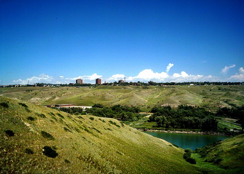 Tutor Doctor tutoring services in Lakeview