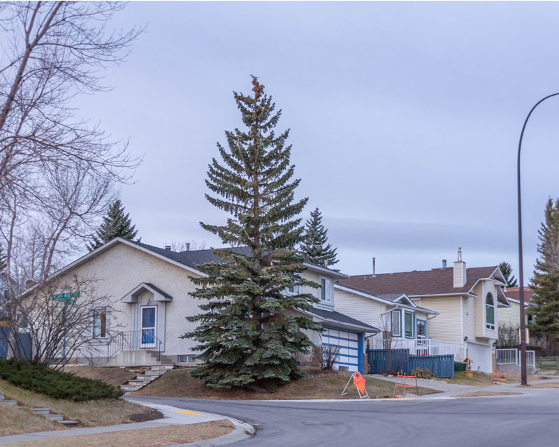 Tutor Doctor tutoring services in Macewan Glen