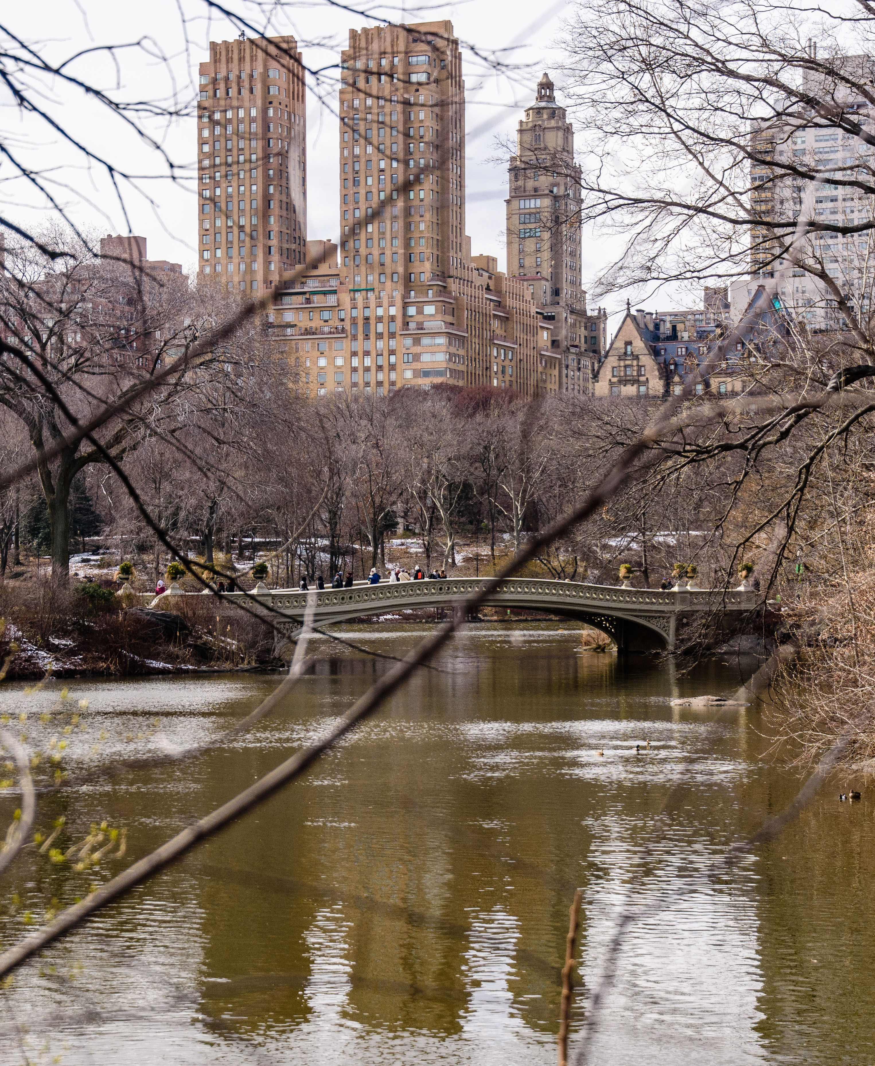 Tutor Doctor tutoring services in Majestic Place