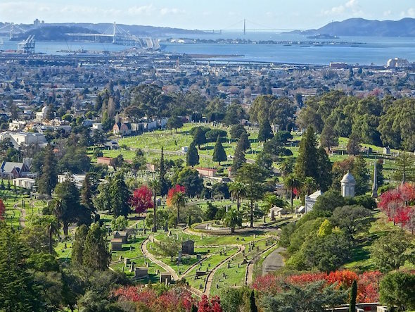 Tutor Doctor tutoring services in Piedmont, CA