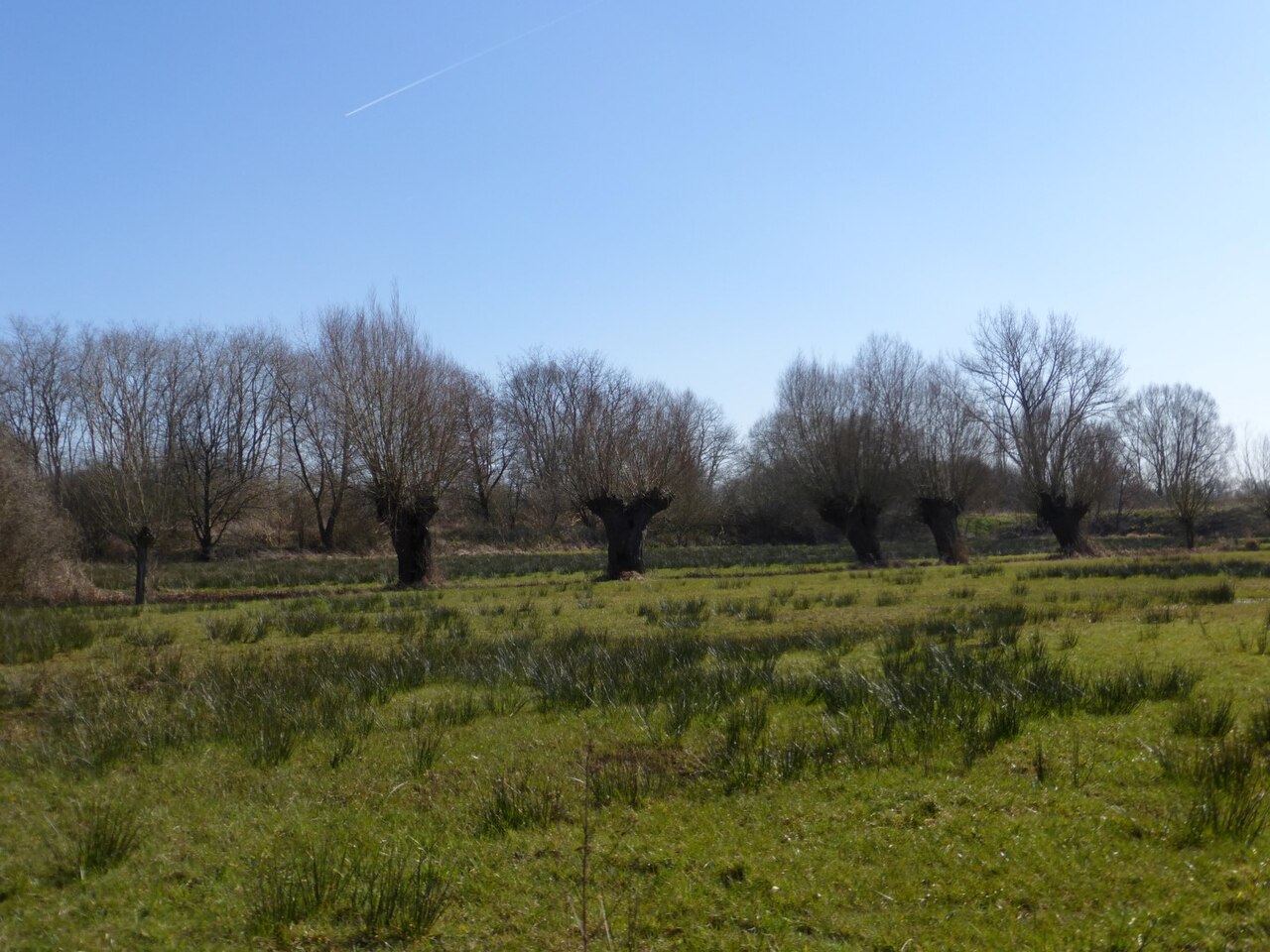 Tutor Doctor tutoring services in Ranchlands