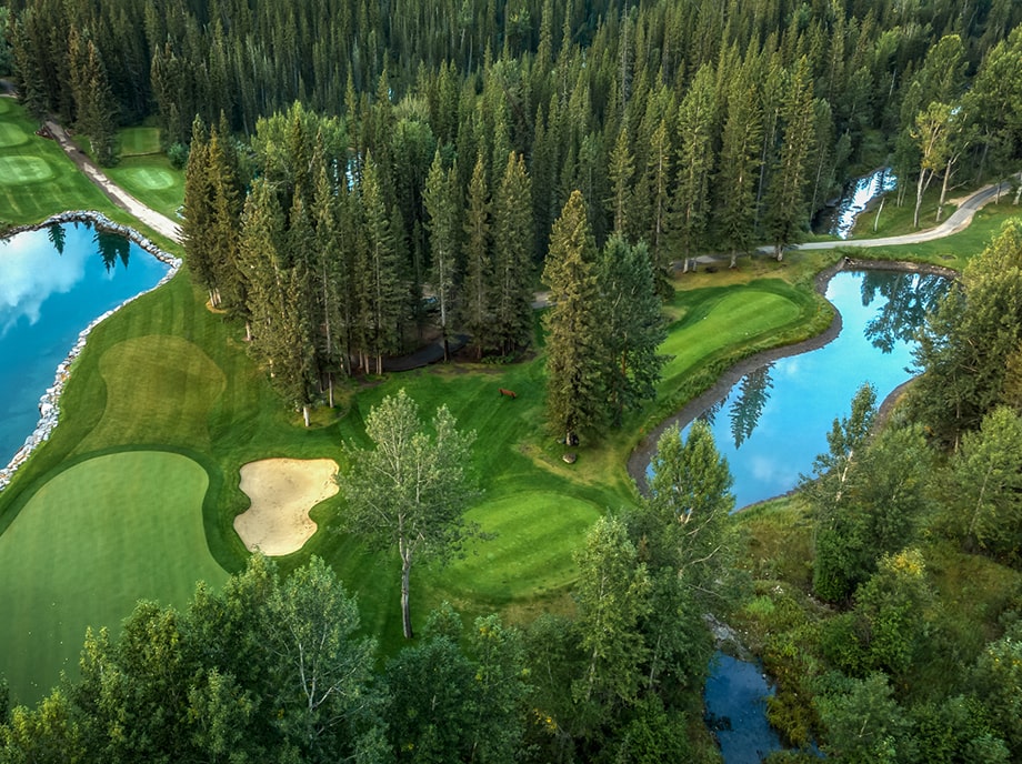 Tutor Doctor tutoring services in Redwood Meadows, AB