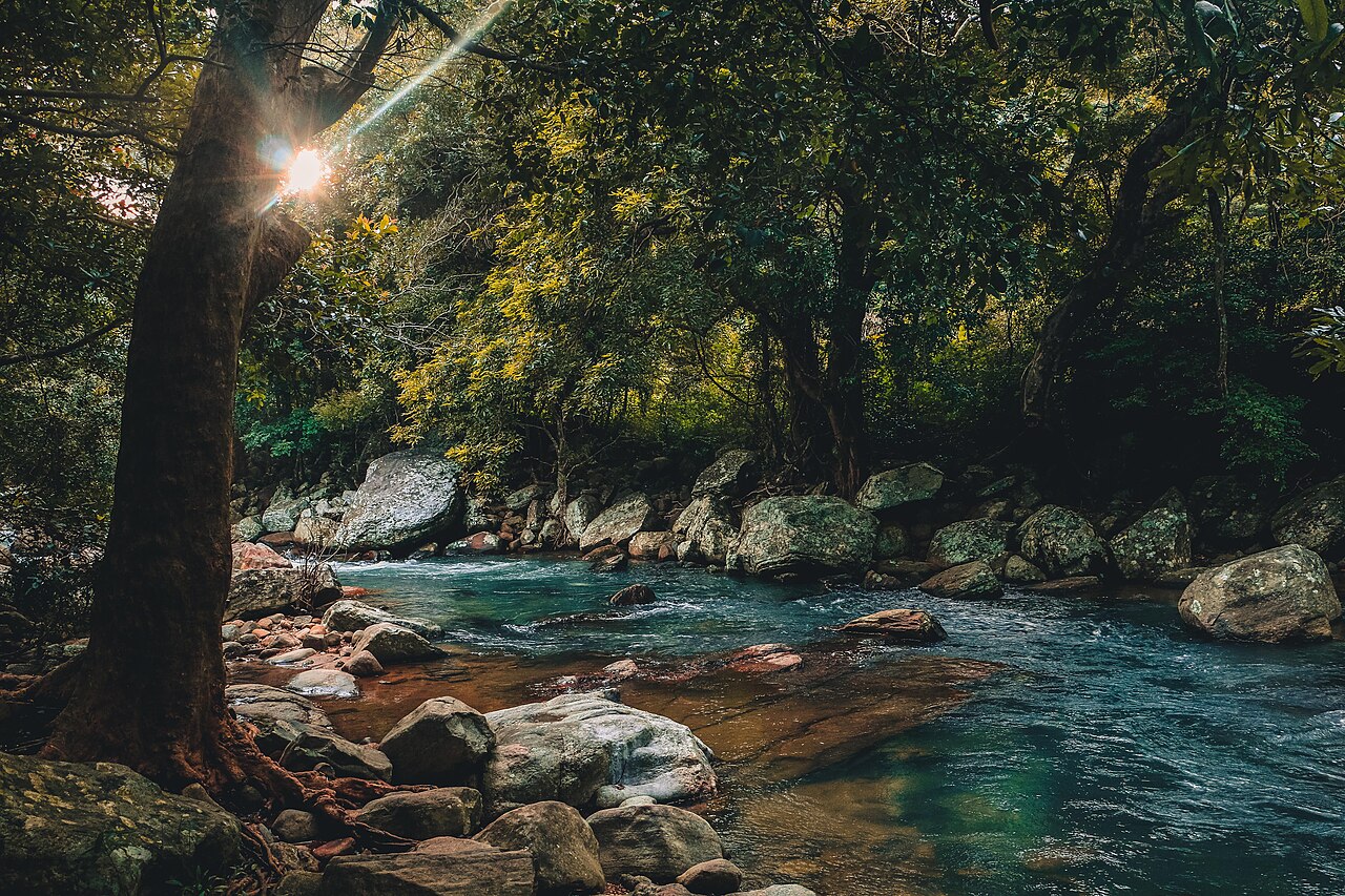 Tutor Doctor tutoring services in Riverstone