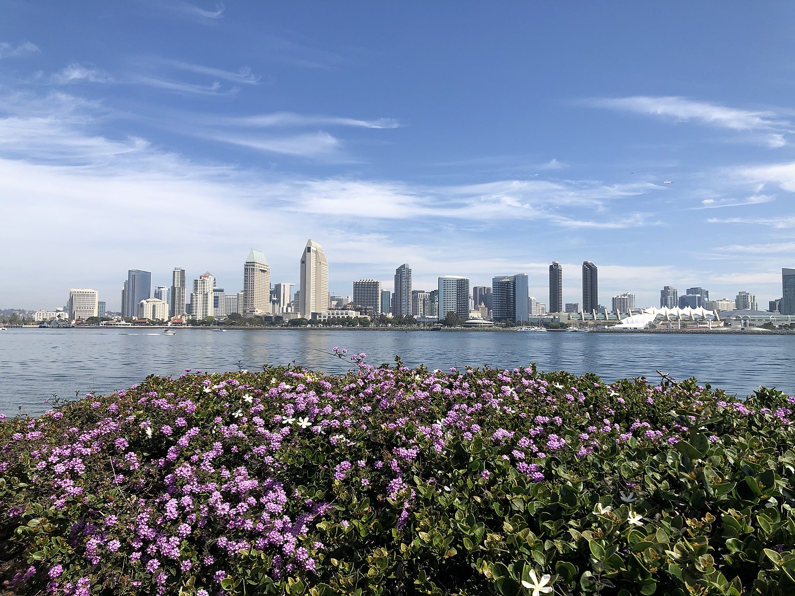 Tutor Doctor tutoring services in San Diego