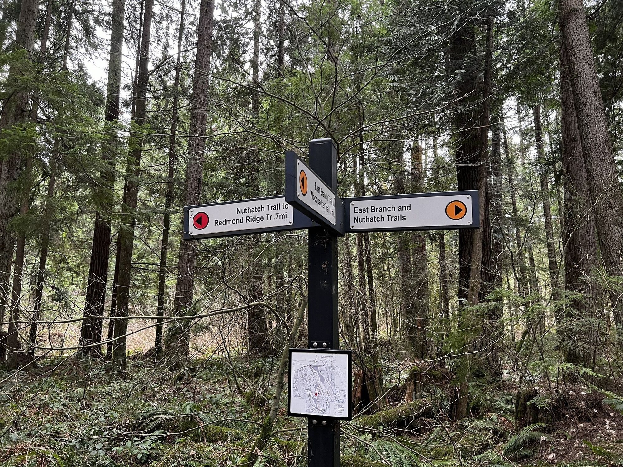 Tutor Doctor tutoring services in Union Hill-Novelty Hill, WA