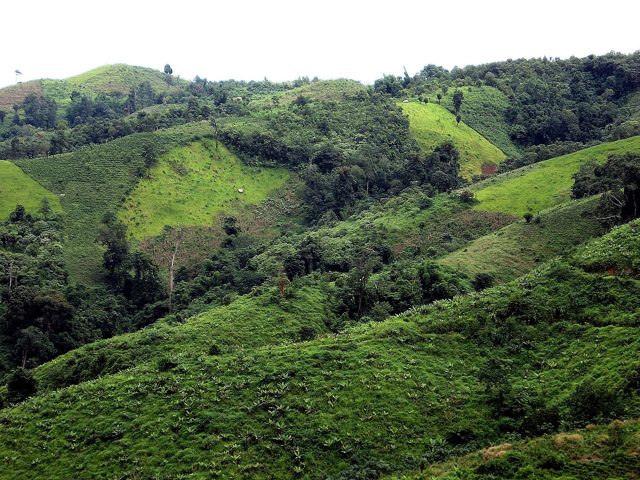 Tutor Doctor tutoring services in Uplands