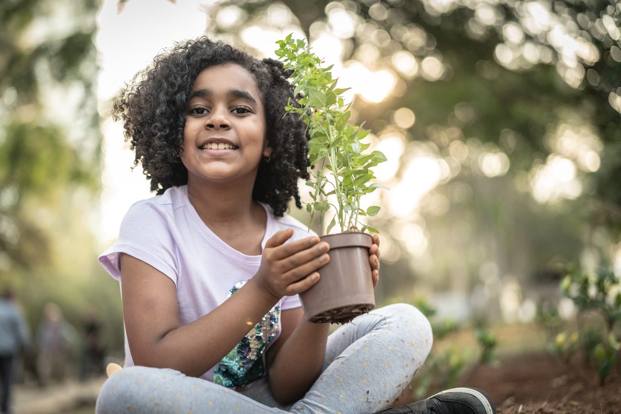 Arbor Day: 4 Things You Can Do as a Family to Help Protect and Save Trees