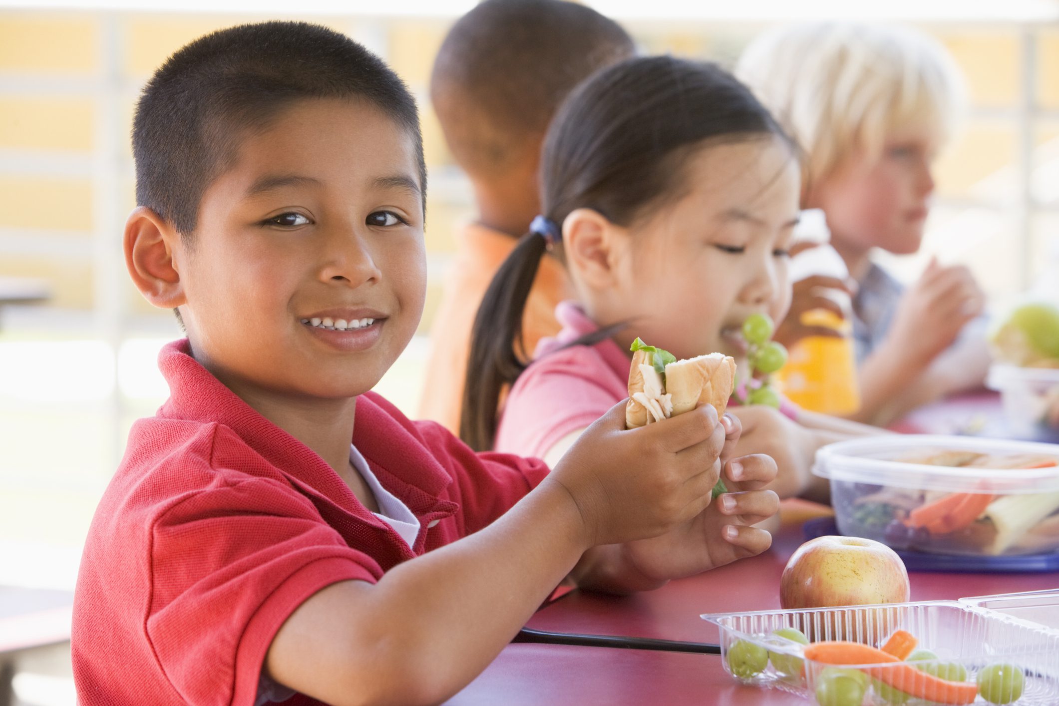 Healthy Lunch Tips for Your Children [Infographic]